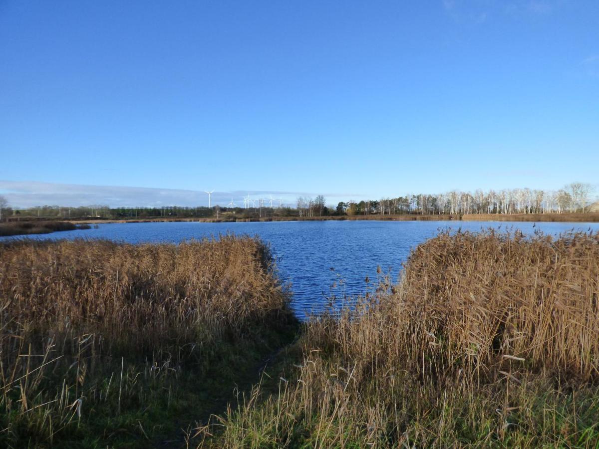 Uckermark "Ferienwohnung Sommerfugl " Passow  외부 사진