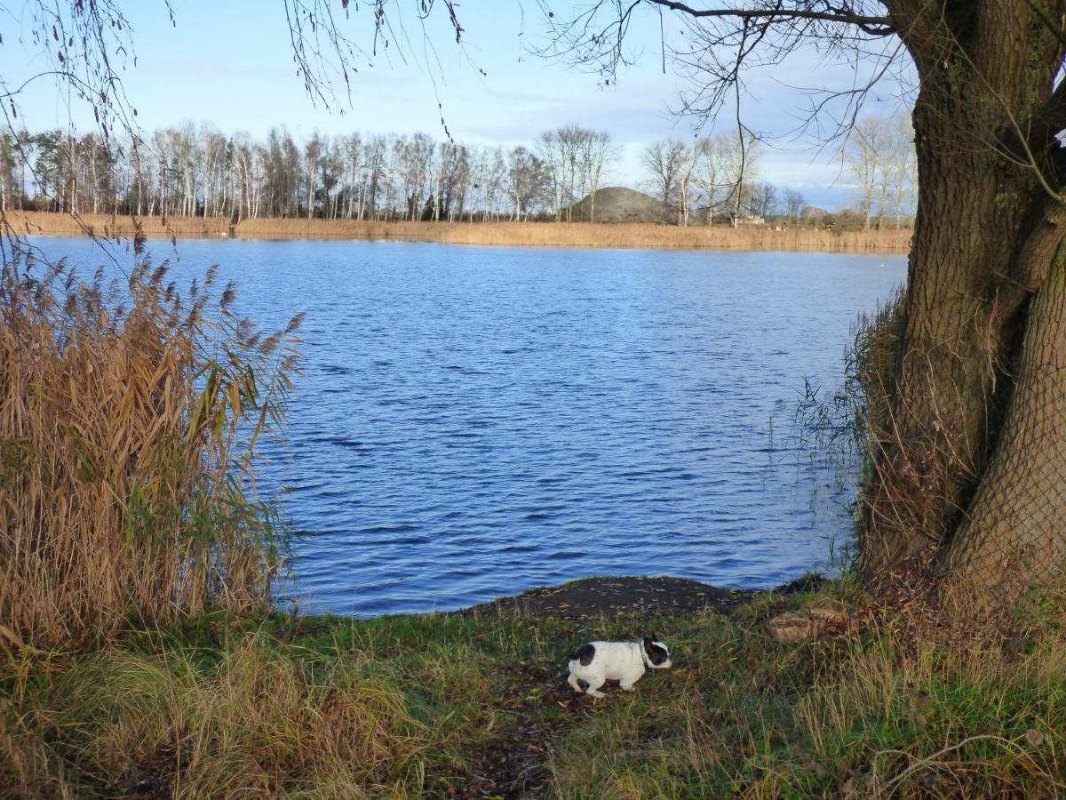 Uckermark "Ferienwohnung Sommerfugl " Passow  외부 사진